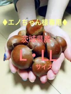 ♦︎エノちゃん様専用♦︎