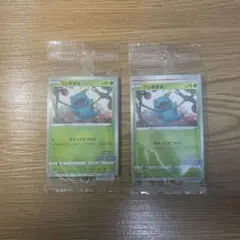 フシギダネ　未開封