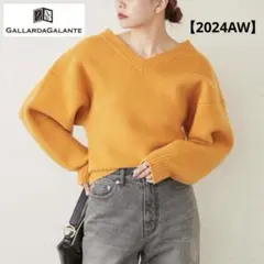 【美品】ガリャルダガランテ Vネックニット 2024AW