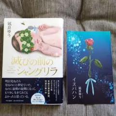 MTG 輝かしき翼/Brilliant Wings foil 日本語 - メルカリ