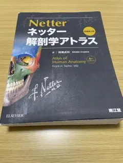 【値下げ】ネッター 解剖学アトラス 第6版 ネッター解剖学アトラス電子書籍付 | 航海堂