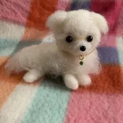 羊毛フェルト マルチーズ - メルカリ
