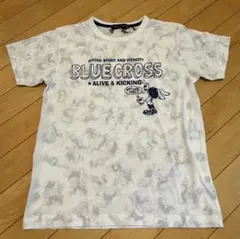 Item thumbnail for item c1358df7-ca5c-4ece-b113-a8834cbc6760