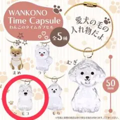【新品未開封】わんこのタイムカプセル　WANKONO Time Capsule