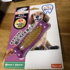 Hartz チューデントさつまいもフレーバー Sのサムネイル