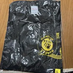 Item thumbnail for item 5b911a25-e3bb-488f-810e-7fdecee5ab6f