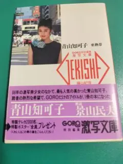 写真集 青山知可子 亜熱帯 篠山紀信 GORO 特別編集 激写文庫 - メルカリ