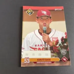 Item thumbnail for item a14c80cb-7317-4da5-93b7-e031778eeb84