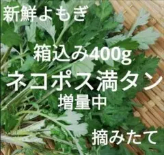 やわらか 生ヨモギ よもぎのサムネイル