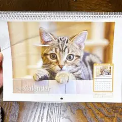 Item thumbnail for item 5b4f9edb-3191-4e2b-a26f-73d059a5eb7c