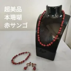 ひ631 超美品　本珊瑚　赤サンゴ　 ネックレス　ブレスレット　イヤリング