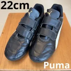 Item thumbnail for item de5fa100-0030-4712-9ca1-ba8eb059a185