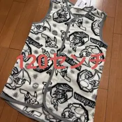 Item thumbnail for item c1a0ff37-8154-49e2-8265-05c5e38cbf20