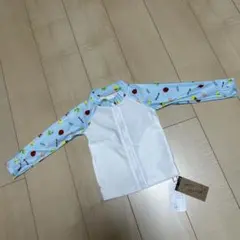 Item thumbnail for item c9c7dc89-f7ec-48e4-97db-e01331ddbc14