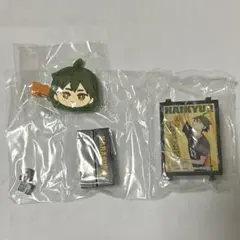 ハイキュー　山口忠