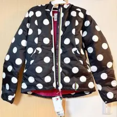 Item thumbnail for item 5e8e8c46-b4d6-4730-ad0c-aa0e1b44feb0