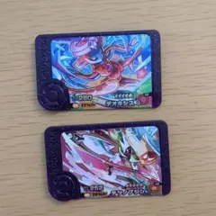 #コンパス様 リクエスト 2点 まとめ商品