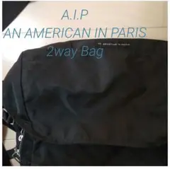 A.I.P 2way バッグ