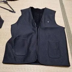 Item thumbnail for item 6a760fc8-299d-4d78-bd6c-8de47a8590a2