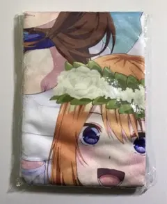 Item thumbnail for item 6dfd200c-ad7f-4e5a-a14d-8aad14b2e1f2