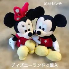 used ミッキー＆ミニー ぬいぐるみセット