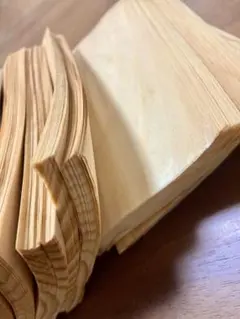 Item thumbnail for item ee2902f3-2343-4e19-b4c5-3f58a1b89fa7