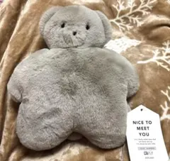 Item thumbnail for item 4266ee7e-3626-4daa-acca-48055aae8d2c