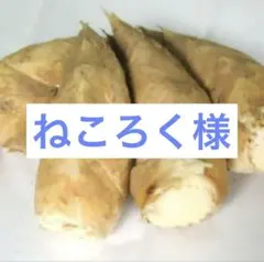 ねころく様　京都山城産　朝掘り筍