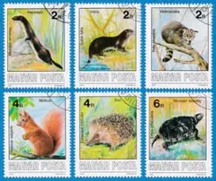 Item thumbnail for item 48590ccc-7aa4-4173-a2df-3b90149e561e