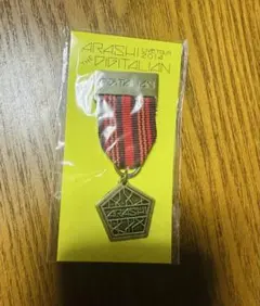 嵐 DIGITALIAN メダルブローチ　（赤）