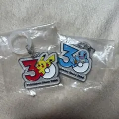 ポケモン 30周年 メタルチャームマスコット ガチャ ピカチュウ