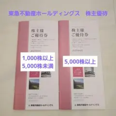 東急不動産ホールディングス 1000株以上→1冊 5000株以上→1冊 計2冊