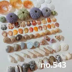 Item thumbnail for item eb1d1b09-9637-4641-9cd0-844e1551c516