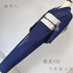絽 紗 夏着物 カラー 156 華麗なる美 小紋 フルセット 銀彩 飛び柄 夏5 