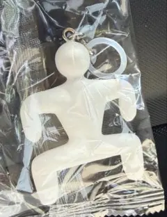 値下げしました‼️めっちゃカメレオン めじるしチャーム めじるしアクセサリー