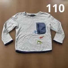 klädkåp クレードスコープ　恐竜　刺繍　トレーナー 110
