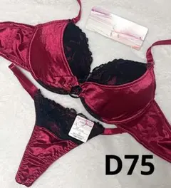 D75 グロッシーサテンリングブラジャー&Tバックショーツ