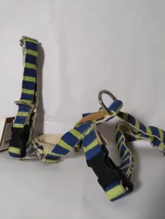 Item thumbnail for item c23e0ece-97c8-4b7f-bdb8-ad6575addb6c