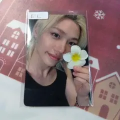 stray kids　フィリックス　トレカ　特典　everline　KARMA