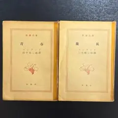 書き下ろし小説　高山羽根子　尾崎世界観　小冊子 書き下ろし小説 高山羽根子 尾崎世界観 小冊子 - メルカリ
