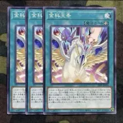 遊戯王 金科玉条 3枚セット くまろんA