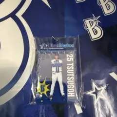 筒香嘉智 ブリスター風アクリルキーホルダー