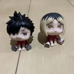 ハイキュー!! 黒尾鉄朗 孤爪研磨 きゅるみー セット