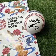 2026年最新】ベイスターズ直筆サインの人気アイテム - メルカリ