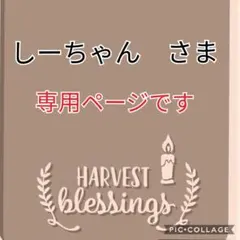 しーちゃん様専用