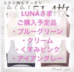 大きいサイズ 小さく見せるブラ シームレスブラ　ノンワイヤー　小胸 美胸