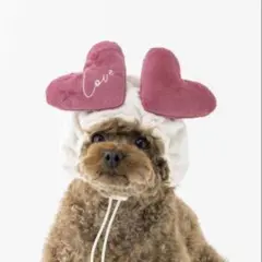 Item thumbnail for item c22da303-2d40-4f2c-a744-3c66b737115b