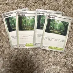 ポケモンカード未開の祭壇