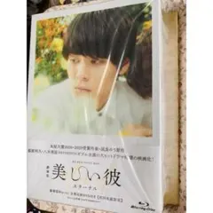 美しい彼 Blu-ray 全巻収納BOX付き - メルカリ