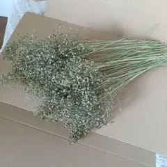 コンコン様 リクエスト 2点 まとめ商品